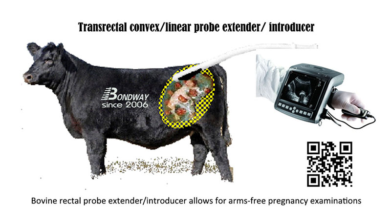 BW560V bovine rectal probe introducer
